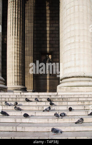 Spalten der Tempel und Tauben sitzen auf dem Schritte gegen die Statue in Paris, Frankreich Stockfoto