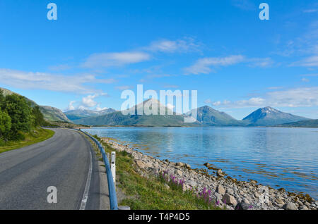 Straße entlang der Tysfjorden in den Lofoten Stockfoto