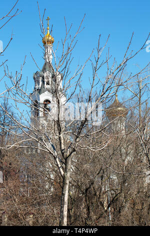 Der Glockenturm einer orthodoxen Kirche in Moskau hinter Dickicht von Sträuchern vor blauem Himmel Stockfoto