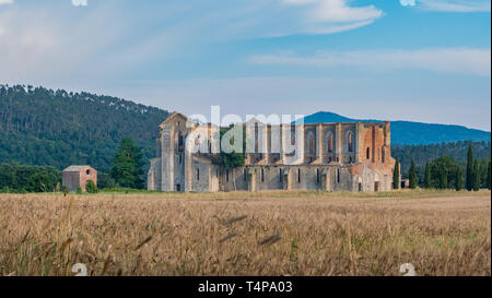 San Galgano Abbey in der Toskana, Italien Stockfoto