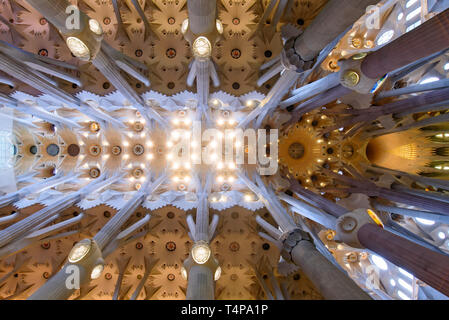 Die Decke der Sagrada Familia (Kirche der Heiligen Familie), der Kathedrale von Gaudí in Barcelona, Spanien, Stockfoto