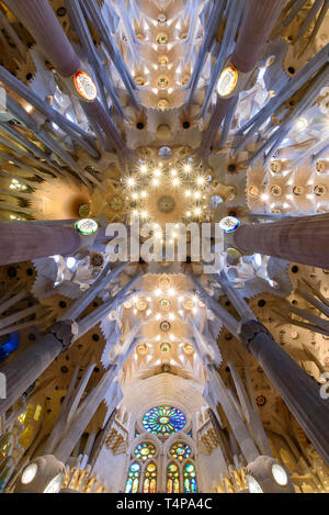 Die Decke der Sagrada Familia (Kirche der Heiligen Familie), der Kathedrale von Gaudí in Barcelona, Spanien, Stockfoto