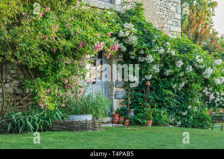 Roquelin's Gardens, Les Jardins de Roquelin, Frankreich: Garten willkommen und Shop Eingang mit kletternden Rosen (Rosa) (obligatorisch Erwähnung der Garten na Stockfoto
