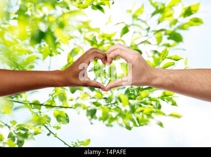 Die Nächstenliebe, die Liebe und die Vielfalt Konzept - aus der Nähe von weiblichen und männlichen Händen unterschiedlicher Hautfarbe, Herzform über grüne natürlichen Hintergrund Stockfoto