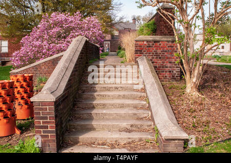 Schritte hin zu einem Laufsteg in Mellon Park an einem sonnigen Frühlingstag in Pittsburgh, Pennsylvania, USA Stockfoto