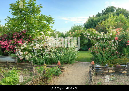 Roquelin's Gardens, Les Jardins de Roquelin, Frankreich: Küche Garten und seinem Eingang in Bogen mit den Rosen 'Ghislaine de Feligonde' und 'Buff Beauty Stockfoto