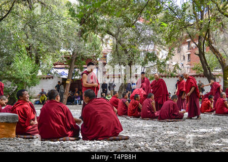 Die Debatten unter den Mönchen auf dem tibetischen Buddhismus lehren im Kloster Sera, Lhasa, Tibet Stockfoto
