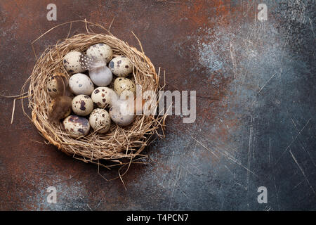 Wachteln Eier im Nest auf rustikalem Stein Hintergrund mit Kopie Raum Stockfoto