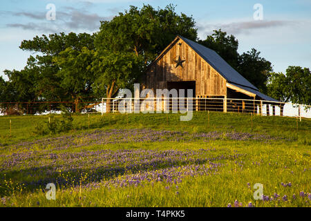 Holz Stall auf der Bluebonnet Trail in der Nähe von Ennis, Texas Stockfoto