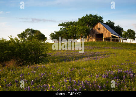 Holz Stall auf der Bluebonnet Trail in der Nähe von Ennis, Texas Stockfoto