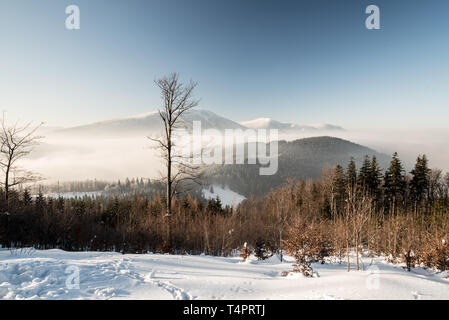 Blick auf Smrk und Knehyne Hügel von Butoranka balg Lysa hora Hügel in Moravskoslezske Beskiden in der Tschechischen Republik während eisige Winter Tag Stockfoto