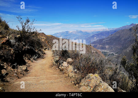 Trekking Weg bis zum Aussichtspunkt, wo es möglich ist, Kondore zu beobachten. Foto im Colca Canyon, Peru Stockfoto