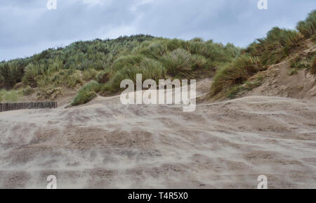 Sand weht über den Strand in Rhuddlan, Sidan und in die marram Gras bedeckte Dünen an einem windigen Tag Sommer in South Wales. Stockfoto