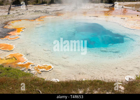 Fountain Paint Pot Trail zwischen Gayser, brodelnde Schlammlöcher und verbrannten Bäume im Yellowstone National Park in Wyoming Stockfoto