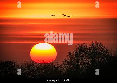 Southport, Merseyside, UK. 19. April 2019. Schönen Sonnenaufgang. Eine milde Start bis Karfreitag, als die Sonne bricht durch einige lückenhaft niedrige Wolken und Nebel. Es wird erwartet, dass die Temperaturen bis 22 ºC für eine herrliche sonnige Ostern Feiertag erreichen. Credit: cernan Elias/Alamy leben Nachrichten Stockfoto