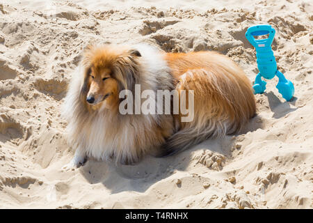 Bournemouth, Dorset, Großbritannien. 19 Apr, 2019. UK Wetter: heiß und sonnig wie vsitors Kopf ans Meer das Wetter in Bournemouth Strände für die Osterferien und Strände zu genießen verpackt erhalten. Credit: Carolyn Jenkins/Alamy leben Nachrichten Stockfoto