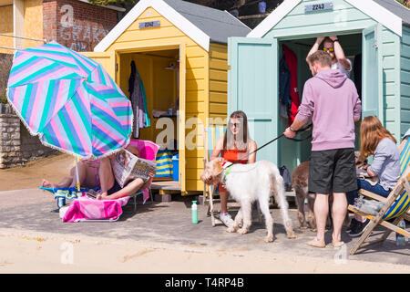 Bournemouth, Dorset, Großbritannien. 19 Apr, 2019. UK Wetter: heiß und sonnig wie vsitors Kopf ans Meer das Wetter in Bournemouth Strände für die Osterferien und Strände zu genießen verpackt erhalten. Credit: Carolyn Jenkins/Alamy leben Nachrichten Stockfoto