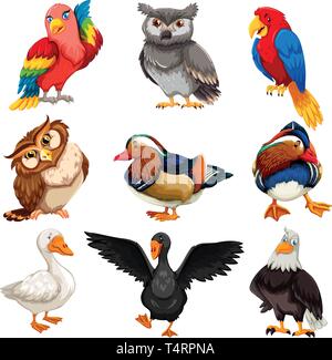Diverse Vögel gesetzt Abbildung Stock Vektor