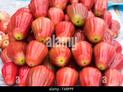 Rose - apple, tropische Früchte in Vinh Long Obstmarkt angezeigt, Mekong Delta. Die Mehrheit der Vietnamesischen Früchte kommen aus den zahlreichen Obstgärten der Meko Stockfoto