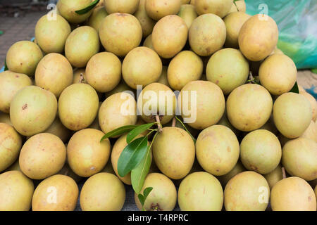 Sapodilla, tropische Früchte in Vinh Long Obstmarkt angezeigt, Mekong Delta. Die Mehrheit der Vietnamesischen Früchte kommen aus den vielen Obstgärten des Mekon Stockfoto