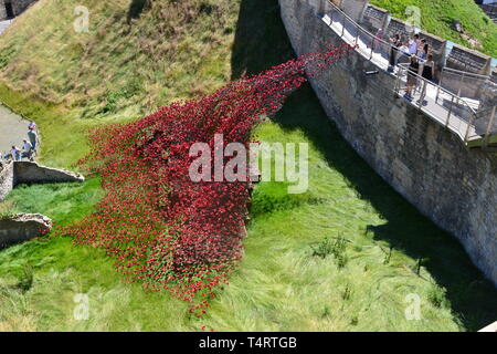 Poppy Wave Skulptur des Künstlers Paul Cummins, am Lincoln Castle, Lincoln, Lincolnshire, Großbritannien Stockfoto