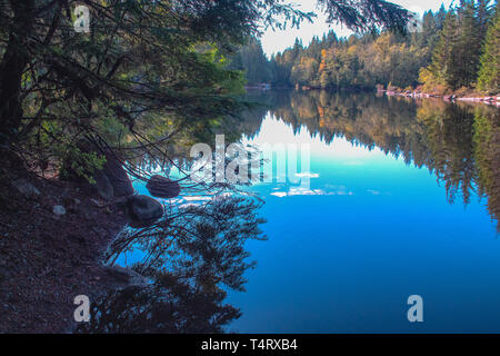 Reflexionen über Rice Lake, Vancouver, British Columbia. Stockfoto