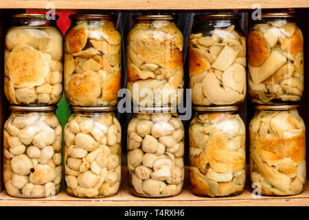 Lecker lecker Weiße marinierten Pilzen in Gläsern auf Regalen. 2019 Stockfoto