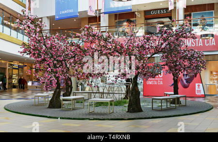 VILNIUS, LITAUEN - 13. APRIL 2019: Ostern April Garten mit blühenden Pink Magnolia Bäume in der Halle des großen Einkaufszentrum Panorama Stockfoto