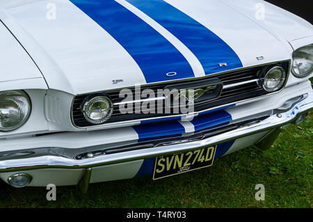 A 1966 Ford Mustang auf dem Display an einem Auto Show Stockfoto