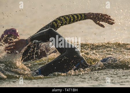 Triathleten schwimmen am Start des Ironman Triathlon Wettbewerb in Kiew, Ukraine Stockfoto