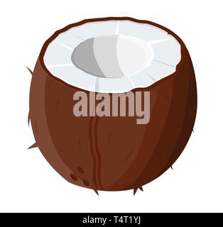 Reife Kokosnüsse und halben Kokosnuss auf Weiß. Coconut Steinfrucht mit halben Abschnitt. Vector Illustration im flachen Stil Stock Vektor