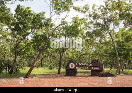 Buschland im Litchfield National Park im Northern Territory von Australien Stockfoto