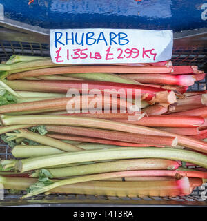 Sticks, die lokal gewachsene Rhabarber auf Verkauf ausserhalb eines Shop. Essen Preise Konzept, fünf am Tag der Metapher. Stockfoto