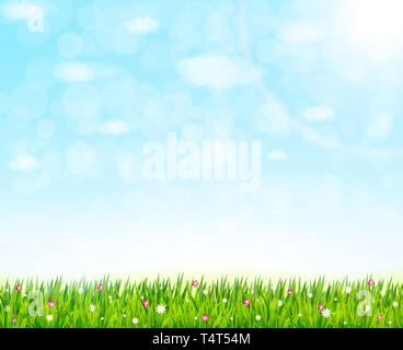 Natur Hintergrund mit grünem Gras und Blumen. Vector Illustration Stock Vektor