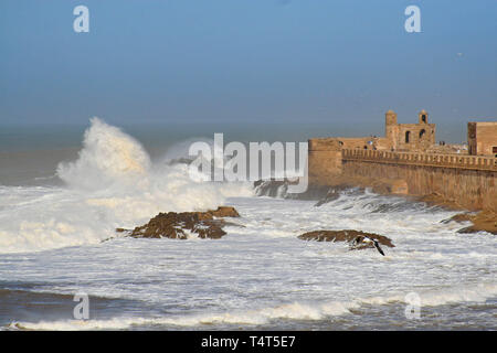 Essaouira Wälle Antenne Panoramablick in Essaouira, Marokko. Essaouira ist eine Stadt in der westlichen Marokkanischen Region an der Atlantikküste. Stockfoto