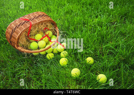 Tennis Ostern mit Tennis Bälle in einen Korb auf grünem Gras in der Sonne. Stockfoto