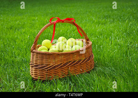 Tennis Bälle in einen Korb auf grünem Gras. Stockfoto