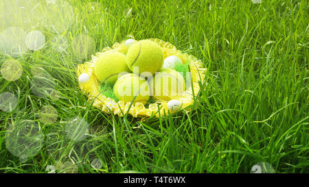 Tennis Ostern mit Tennis Bälle in einen Korb auf grünem Gras und verschwommenes bokeh Sonnenlicht Hintergrund. Selektiver Fokus, kopieren. Stockfoto