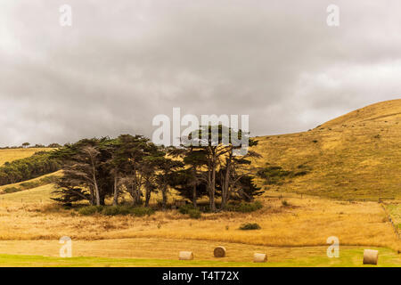 Barron Landschaft mit Heu bürgt neben Great Ocean Road Australien Victoria Apollo Bay. Stockfoto