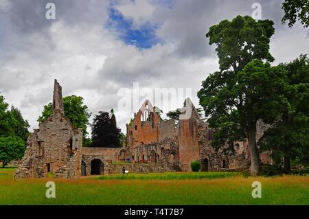 Ruinen von Dryburgh Abbey, Scottish Borders, Schottland, Großbritannien, Europa Stockfoto