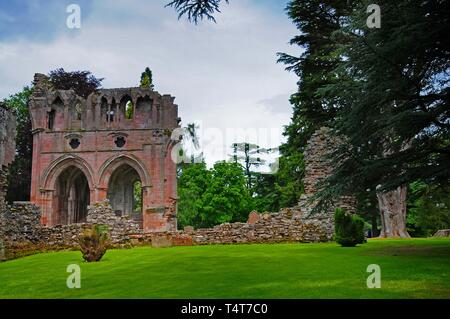 Ruinen von Dryburgh Abbey, Scottish Borders, Schottland, Großbritannien, Europa Stockfoto