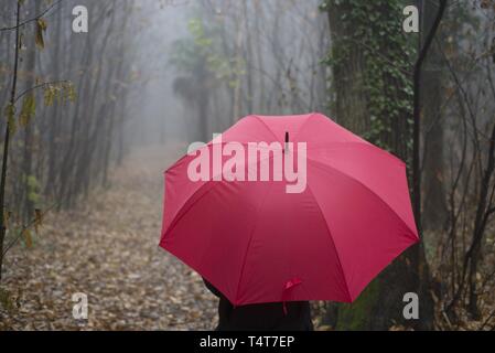 Frau zu Fuß in den Wald mit einem roten Regenschirm Stockfoto