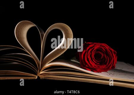 Musik buch Seiten herzförmige, red rose (rosa) Stockfoto