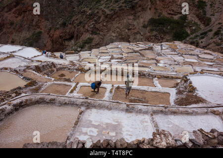 Männer, die in den Pools der Salinas de Maras, peruanische berühmten und traditionellen Salzbergwerk in der Nähe von Cusco Stockfoto