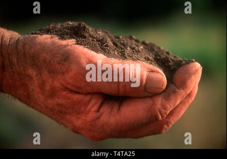 Schmutz in die Hand eines Mannes Stockfoto