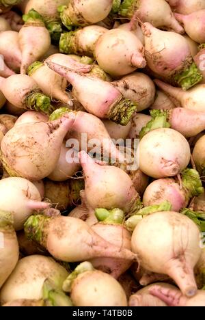 Rüben, Gemüse auf dem Greenmarket, Union Square, Manhattan, New York City, USA Stockfoto