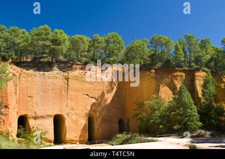 Ockerfarbenen Klippen, Colorado Provencal, Rustrel, Luberon, Frankreich, Europa Stockfoto