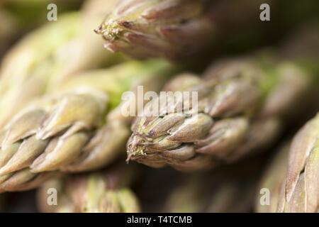 Grüne Spargelspitzen, Close-up Stockfoto