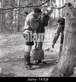 1960, historische Abenteuer Scout mit einen Team Leader im Wald an eine Aktivität im Freien Kurs Anheben einer einen Stein gefüllten Sack auf einen Ast, England, Großbritannien gebunden. Stockfoto