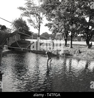 1960, historische, Scouting, team leader in einem Fluß beauftragt eine junge Venture Scout über ihm auf einer seilbrücke wie es zu überqueren, England, UK. Von Robert Baden-Powell Gegründet 1907, die Pfadfinderbewegung hat einen starken Fokus auf die Natur und das Überleben Fähigkeiten, mit dem Ziel, körperliche, psychische und Life Skills zu entwickeln. Stockfoto